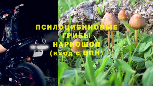 метамфетамин Алексин