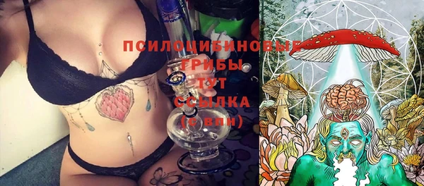 соль курить ск Алексеевка