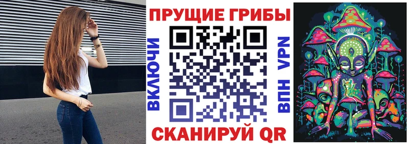 где продают   Калининск  Галлюциногенные грибы мухоморы 